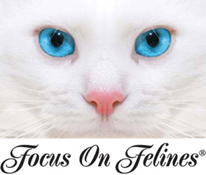 Focus On Felines Professional Cat Shampoo, Ear Cleaner Facials and Colognes