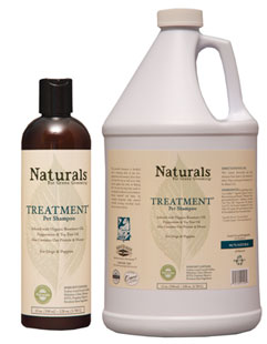 Show Season Naturals Treatment Shampoo