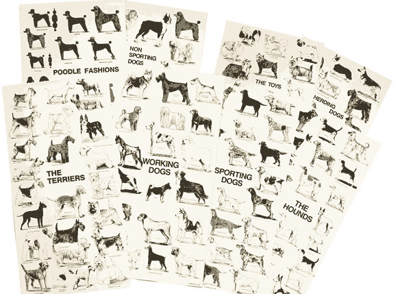 Dog+breeds+poster+uk